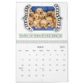 Fotohundekalender 2013 kalender (Mär 2027)