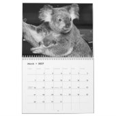 Fotokalender 2011 kalender (Mär 2027)