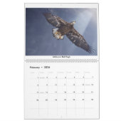 Fotokalender 2020 kalender (Feb 2026)