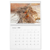 Fotokalender 2020 kalender (Jan 2026)