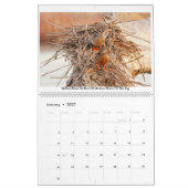 Fotokalender 2020 kalender (Jan 2027)