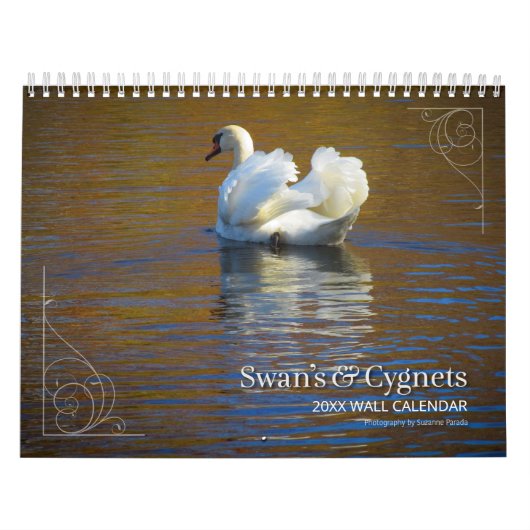 Fotokalender für Schwäne und Cygnets Kalender (Titelbild)