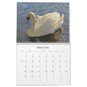 Fotokalender für Schwäne und Cygnets Kalender (Mär 2026)