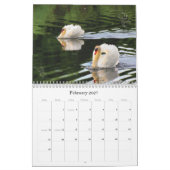Fotokalender für Schwäne und Cygnets Kalender (Feb 2027)
