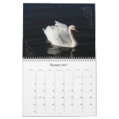 Fotokalender für Schwäne und Cygnets Kalender (Jan 2027)