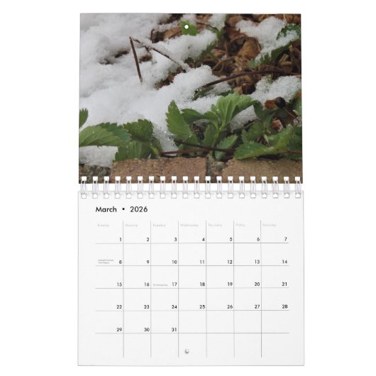 Fotokalender Kalender (Mär 2026)