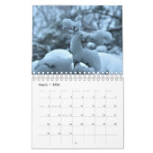 Fotokalender Kalender (Mär 2026)