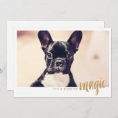 Fotokarte Es ist eine Art Magie (Vorne/Hinten)