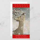 Fotokarte Feiertagskarte (Vorne/Hinten)