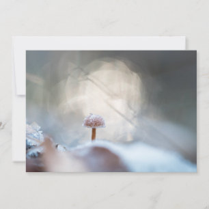 Fotokarte "Frozen Mushroom Nature"