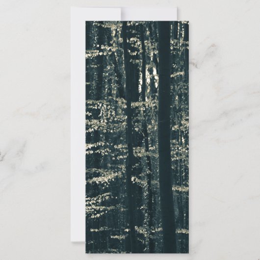 Fotokarte für den Buchenwald (Vorderseite)