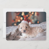 Fotokarte für Personalisierte Stationery Mitteilungskarte (Rückseite)