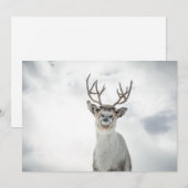 Fotokarte für Rentier (Vorne/Hinten)