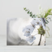 Fotokarte für Weißkirsche (Stehend Vorderseite)