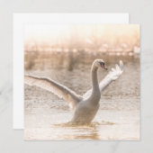 Fotokarte für Weißschwan (Vorne/Hinten)