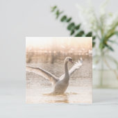 Fotokarte für Weißschwan (Stehend Vorderseite)