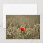 Fotokarte Poppy Nature (Vorne/Hinten)