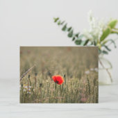 Fotokarte Poppy Nature (Stehend Vorderseite)
