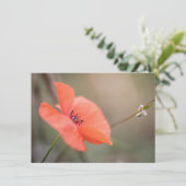 Fotokarte Poppy Nature (Stehend Vorderseite)