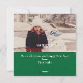 Fotokarte Santa and Rabbits Feiertagskarte (Rückseite)