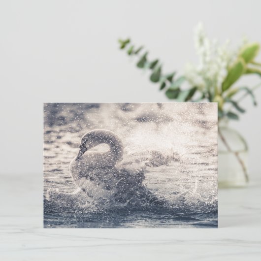 Fotokarte Swan Nature (Stehend Vorderseite)