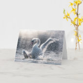 Fotokarte Swan Nature Karte (Gelbe Blume)