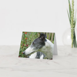 Fotokarte von Windhunden (p5) Karte