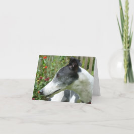 Fotokarte von Windhunden (p5) Karte