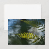 Fotokarten für die Natur (Vorne/Hinten)