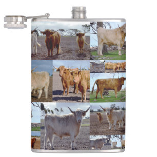 Fotokollage von Kühen der höheren Klasse, Flasche  Flachmann