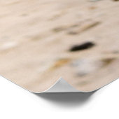 Fotokunst - Ausrigger in Waikiki Poster (Ecke)