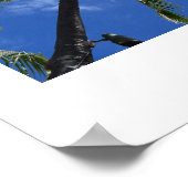 Fotokunst - Palmen auf Waikiki Beach Poster (Ecke)
