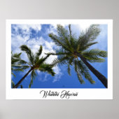 Fotokunst - Palmen auf Waikiki Beach Poster (Vorne)