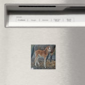 Fotolacke-Magnet Magnet (In Situ (Geschirrspüler))