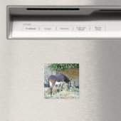 Fotomagnet Magnet (In Situ (Geschirrspüler))