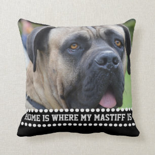 Fotomastiff-Hundezitat-Zuhause ist-, wo Mastiff Kissen