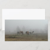 Fotoparten des Frostigen Morgennebels (Vorne/Hinten)