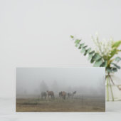 Fotoparten des Frostigen Morgennebels (Stehend Vorderseite)