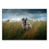 FotoPlatzhalterkarten Tischnummer (Rückseite)