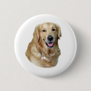 Fotoporträt des goldenen Retrievers Hunde Button