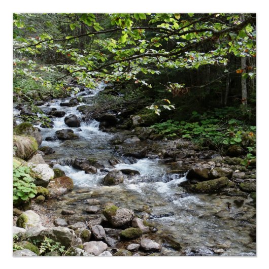 Fotoposter Am Fluss Poster (Vorderseite)
