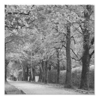 Fotoprint "Archway" Fotodruck