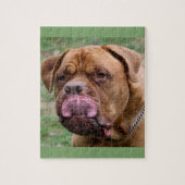 Fotopuzzlespiel Dogue de Bordeaux 8x10 Puzzle (Vertikal)