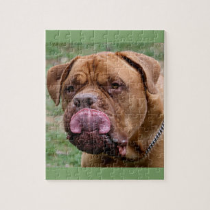 Fotopuzzlespiel Dogue de Bordeaux 8x10 Puzzle