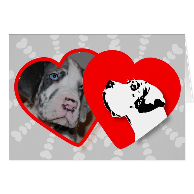 Fotos! (Vorderseite (Horizontal))