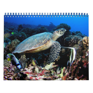 Fotos 2012 kalender