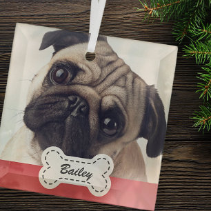 Fotos auf dem Niedlichen Dog-Knochen-Namen hinzufü Ornament Aus Glas