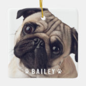 Fotos auf der Dog Paws Name Plate Keramikornament (Vorderseite)