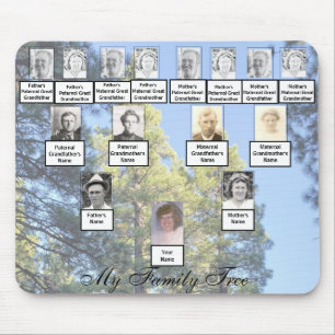 Fotos der Familie der Kiefernbäume Mousepad