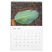 Fotos der Natur Kalender (Mär 2027)